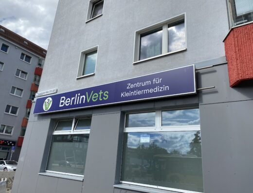 BerlinVets- Zentrum für Kleintiermedizin Adam und Lehmann GbR