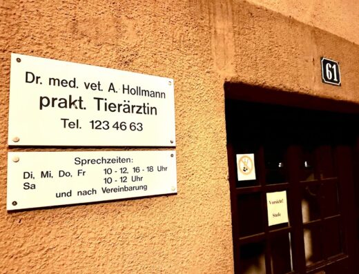 Dr. Andrea Hollmann