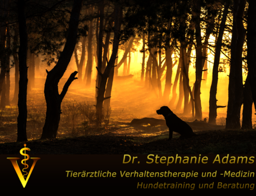Dr. med. vet. Stephanie Adams – Tierverhaltenstherapie