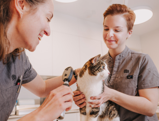 filu Tierarztpraxis Winterhuder Weg – Allgemein- und Notfallmedizin