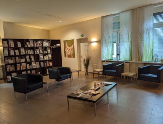 Katzenklinik Frankfurt