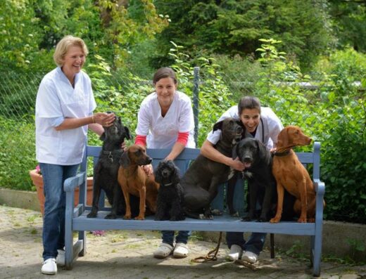 Kleintierklinik München Riem – Dres. med. vet. Lutz