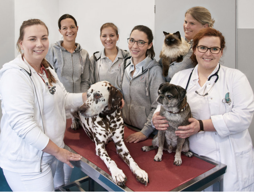 Kleintiermedizin am Lützowufer