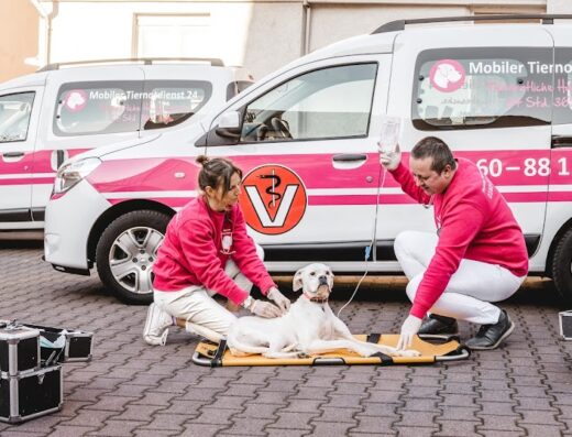 Mobiler Tiernotdienst 24