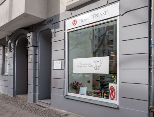 Tierarztpraxis Oldenburger Straße