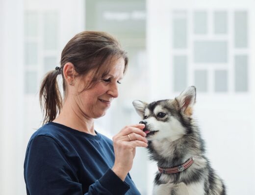 Tierklinik Fuhlsbüttel